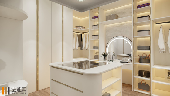 Fadior Modern Walk In Closet High End Stainless Steel Dressing Room Formaldehyde Free