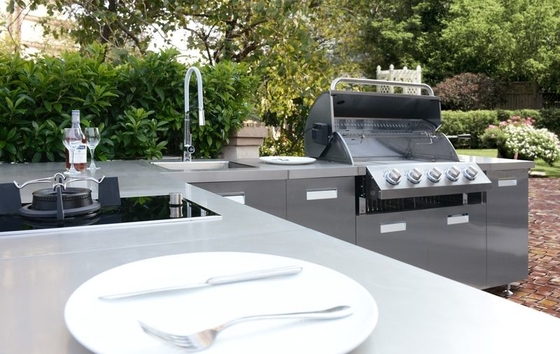 Fadior Original Stainless Steel Outdoor Cabinet With Built-In 5-Burner Gas BBQ Grill