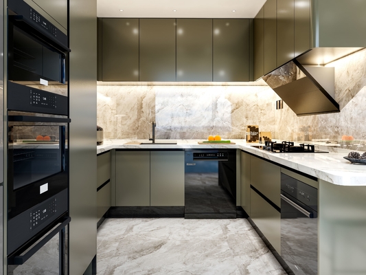 Fadior Luxury Olive Green SS Steel Kitchen Cabinets With Functional Storage