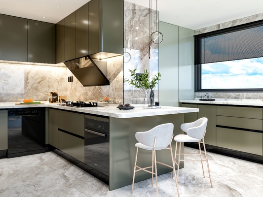 Fadior Luxury Olive Green SS Steel Kitchen Cabinets With Functional Storage