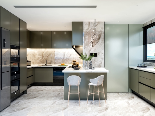 Fadior Luxury Olive Green SS Steel Kitchen Cabinets With Functional Storage